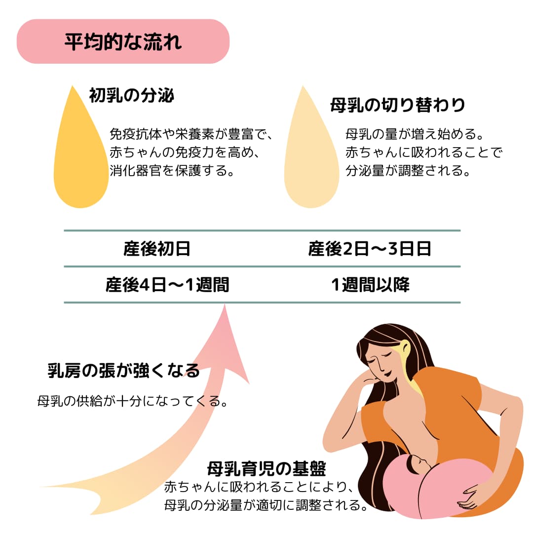 産後初日からの平均的な流れ