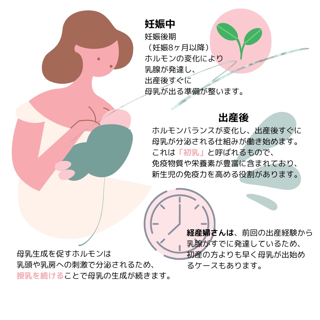 焦らずに赤ちゃんの様子を見ながら授乳を続けることが大切です。